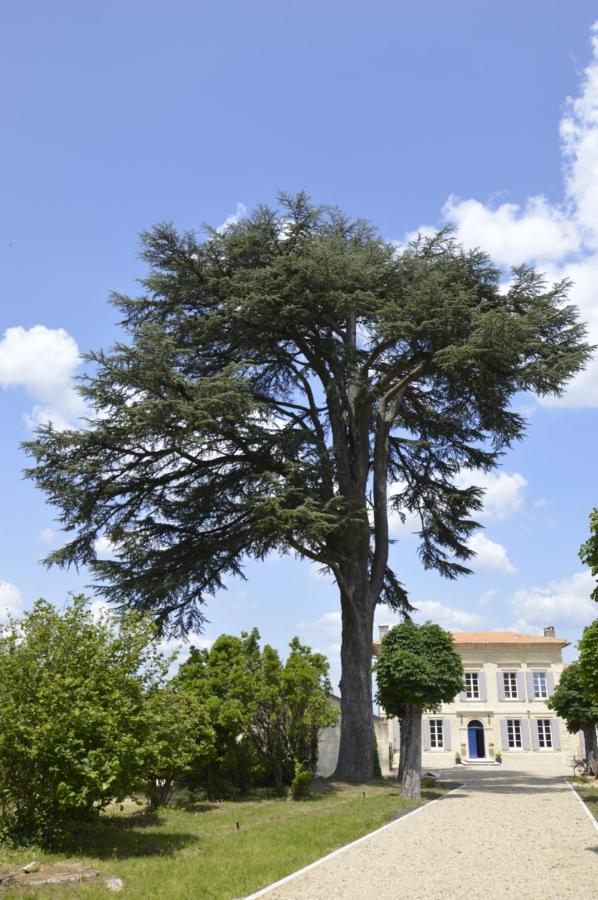 Hotel Chateau Nardon Crimon Saint-Christophe-des-Bardes Exterior foto